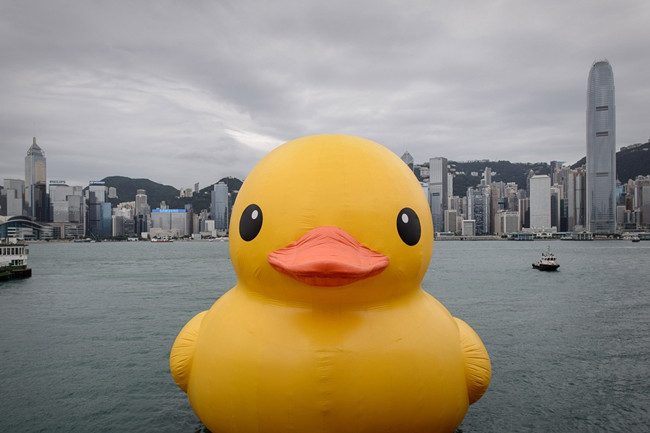 big yellow duck