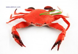 Trick toy artificial crab